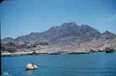 ���� ������ ��� ��� ����